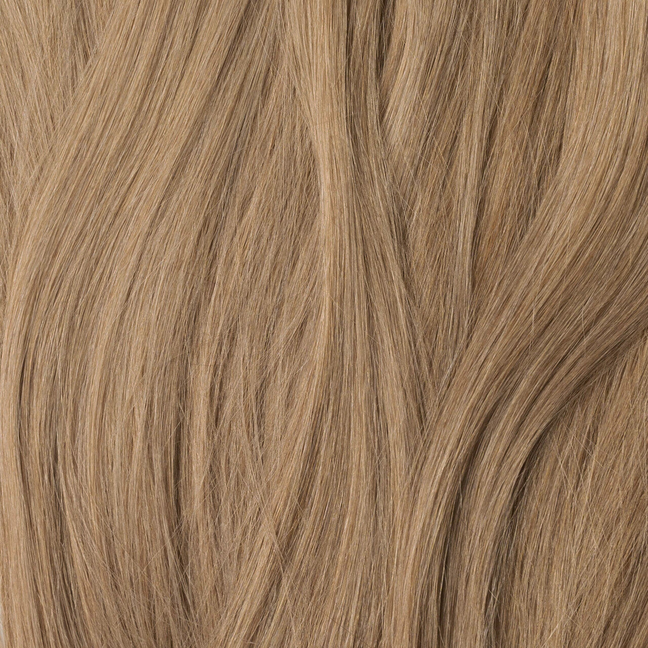 Color sample - Dark Beige Blonde 12B