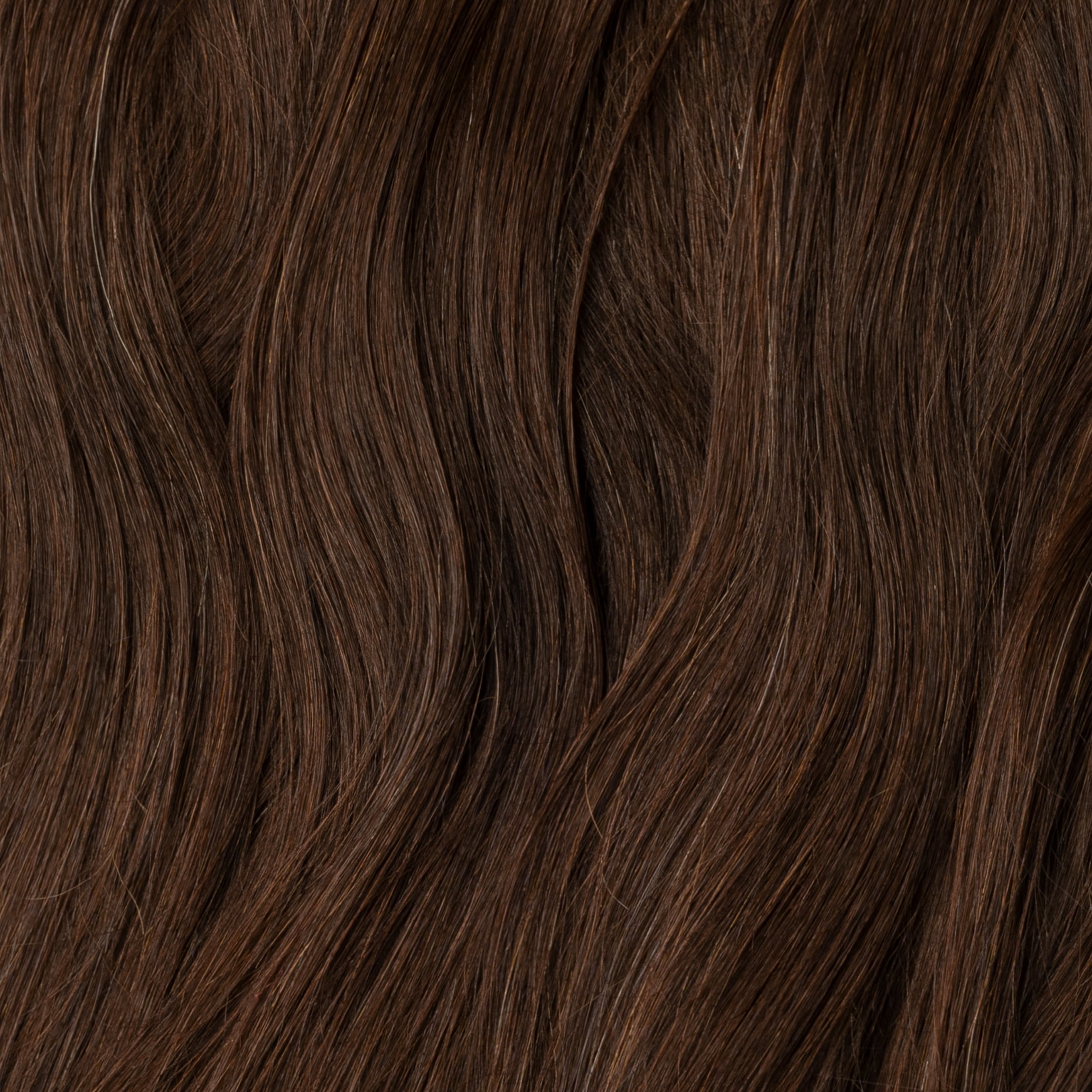 Color sample - Chocolate Brown 2